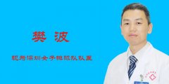 樊波