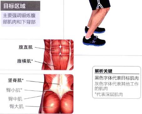 腹部拉伸与练习图解