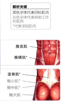 腹部拉伸与练习图解
